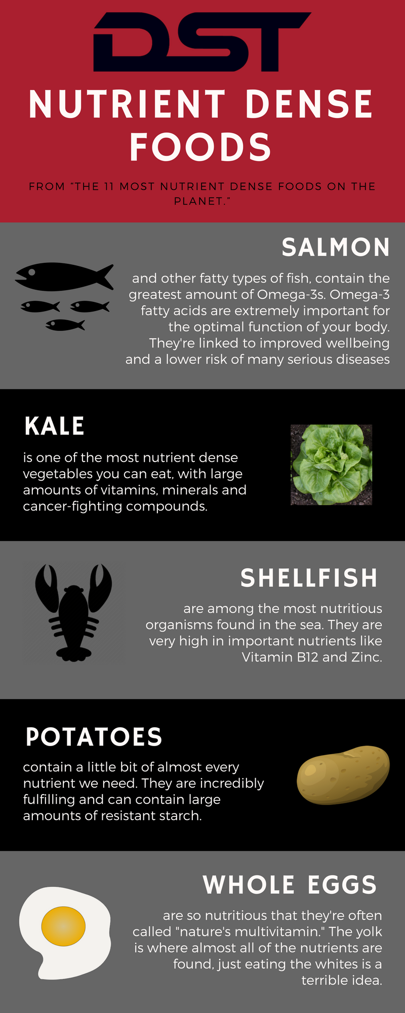 Nutrient Dense Foods The Role of Micronutrients Dynamic Sports Training