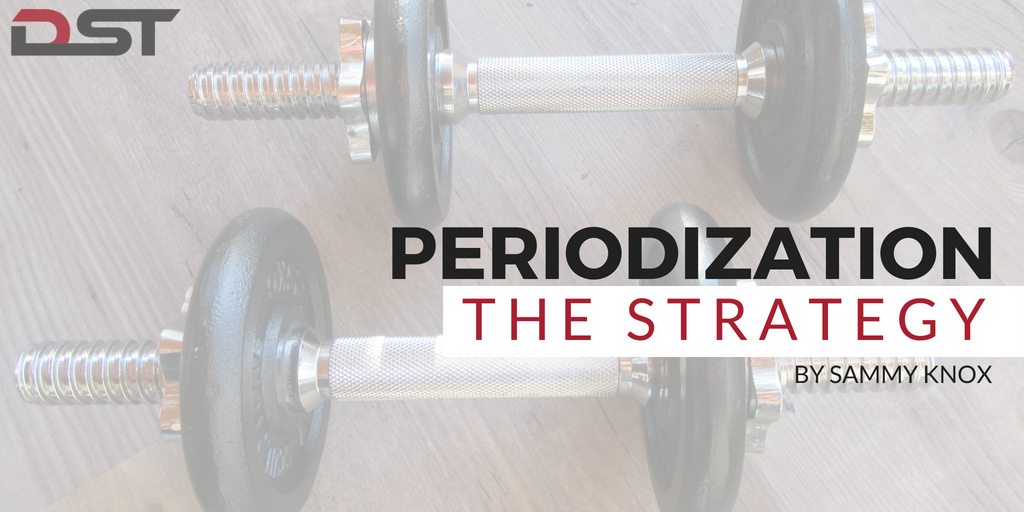 Periodization The Strategy Blog Website