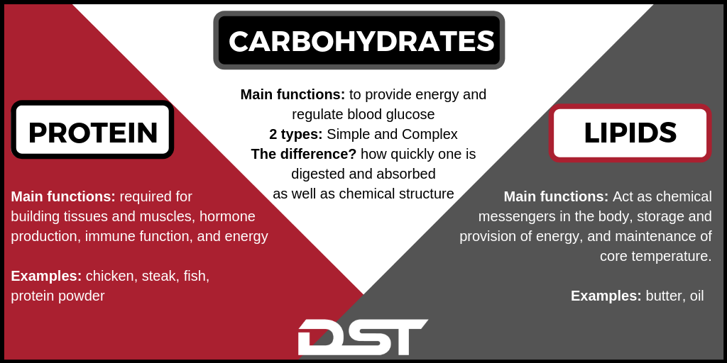 3 macronutrients information (lipids, carbohydrates, protein)