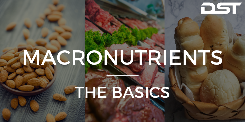 Macronutrients Basics